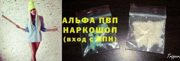 apvp Гусев
