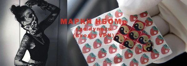 гашик Горняк