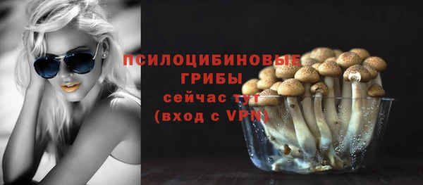 apvp Гусев
