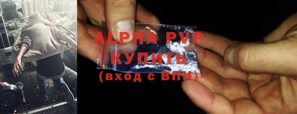 apvp Гусев