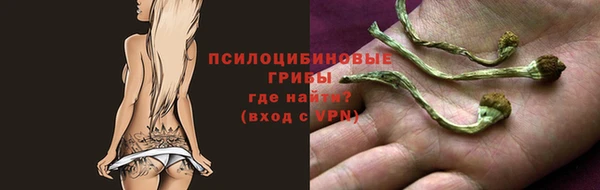 apvp Гусев