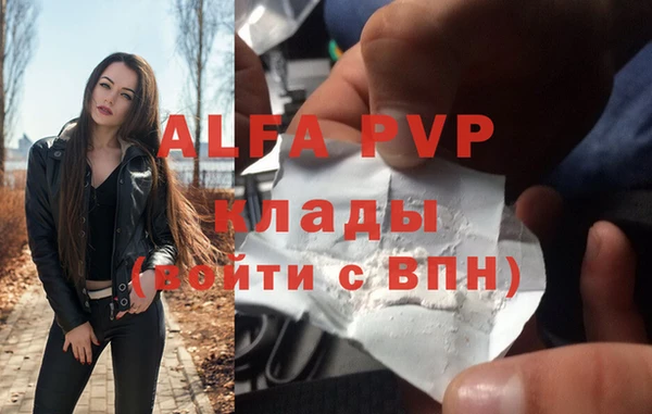 мяу мяу мука Горно-Алтайск