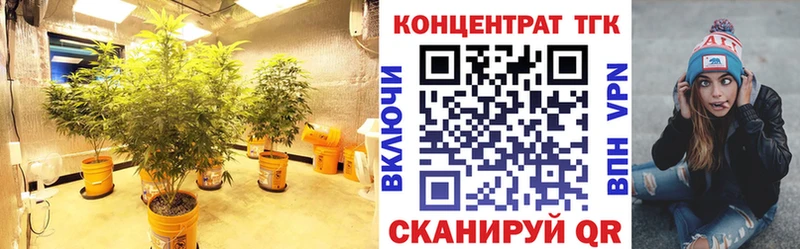 Купить где  Костерёво  ТГК Wax 