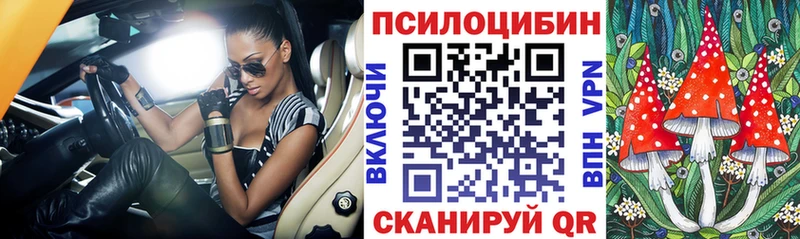 Купить закладки  Костерёво  Псилоцибиновые грибы GOLDEN TEACHER 